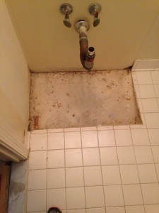 No Tile Under Vanity